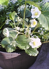 060506_0631_01.jpg
