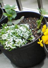 060506_0631_01.jpg
